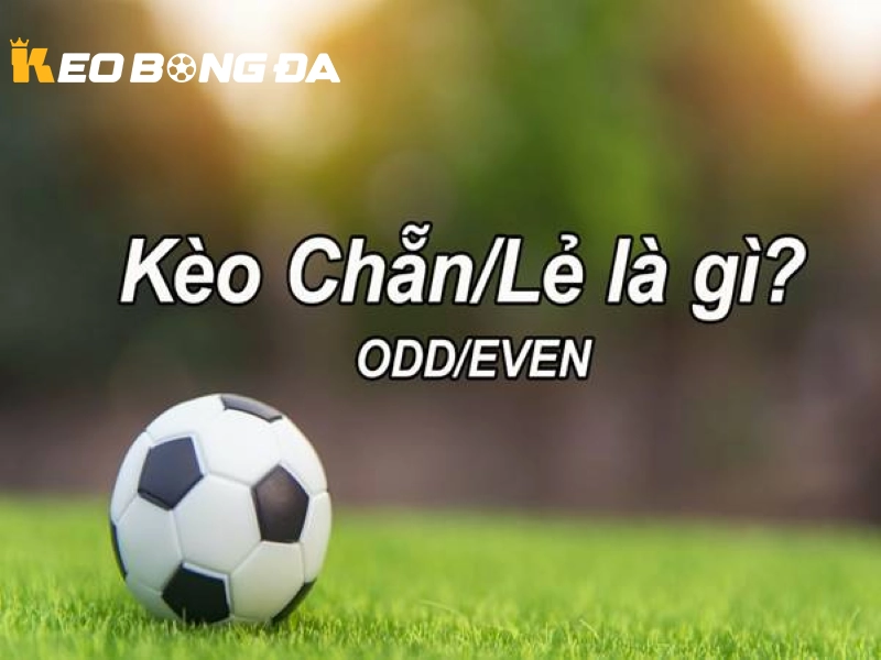 Kèo Chẵn Lẻ Bóng Đá Là Gì? Giải Mã Chi Tiết Từ A Đến Z